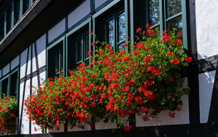 Fachwerk im Sauerland