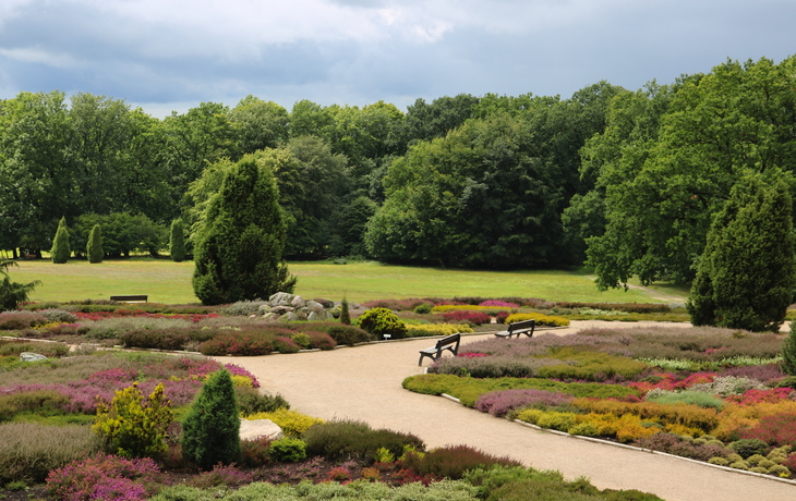 Landschaft in der Lüneburger Heide im Heidegarten Schneverdingen