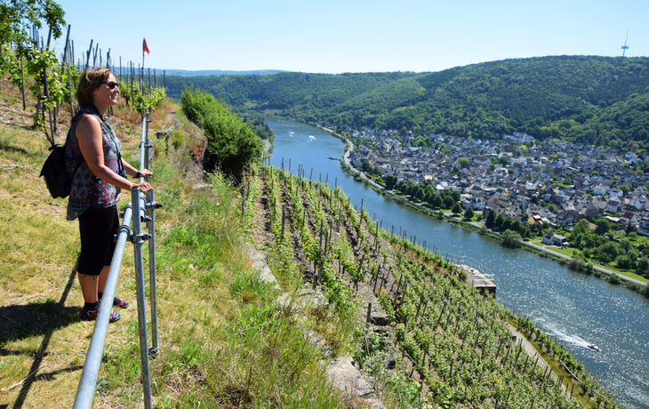 Aussicht bei Koblenz-Lay