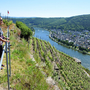 Aussicht bei Koblenz-Lay