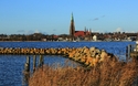Frühling an der Schlei