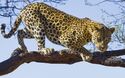 Serengeti-Park