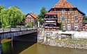 Enten-Essen