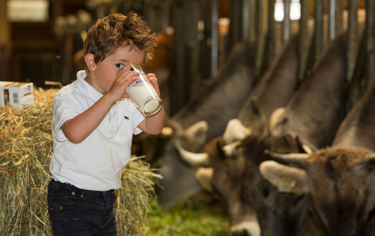 ErlebnisSennerei Zillertal in Mayrhofen, Österreich