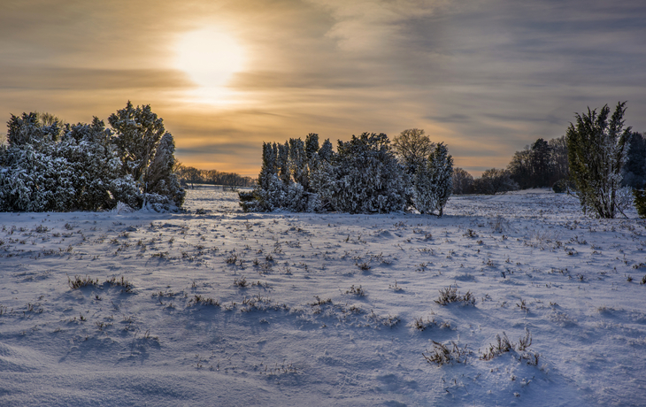 Naturpark Lüneburger Heide im Winter