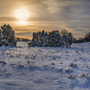 Naturpark Lüneburger Heide im Winter
