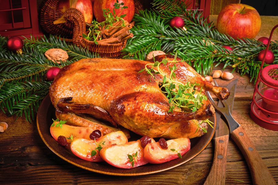 Christmas duck
