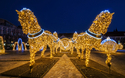 Erlebnis Magdeburger Lichterwelt