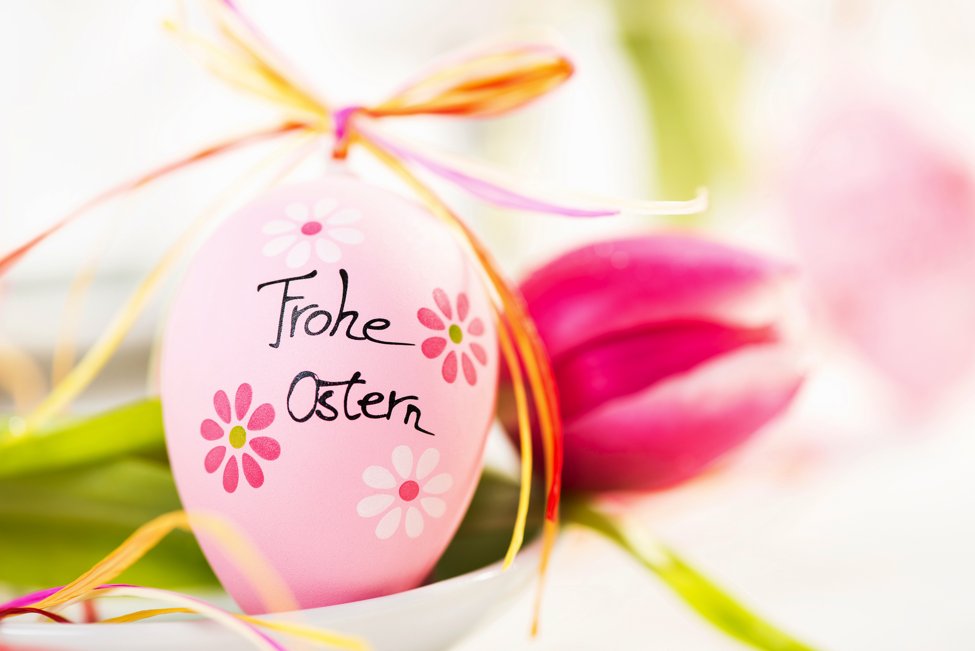 Osterdekoration - Osterei mit Tulpe