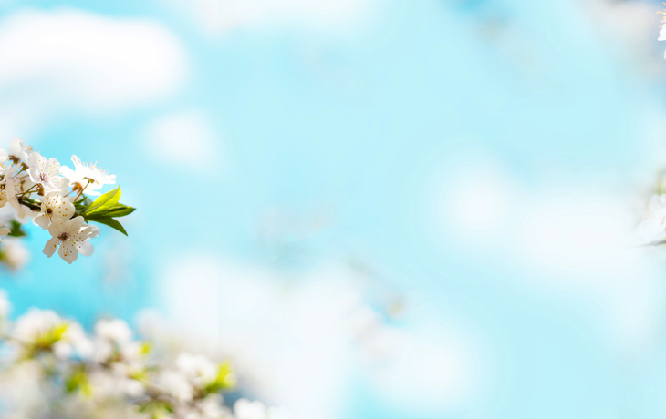 Frühlingshintergrund