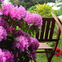 Garten genießen