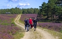 Südheide & Wildpark