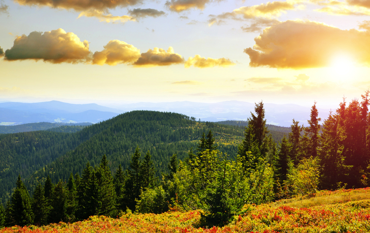 Herbstlandschaft am Großen Arber im Nationalpark Bayerischer Wald, Deutschland