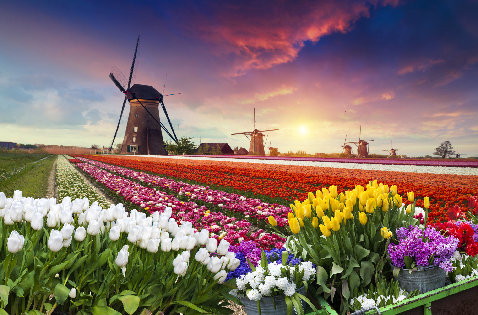 Zaanse Schans in den Niederlanden