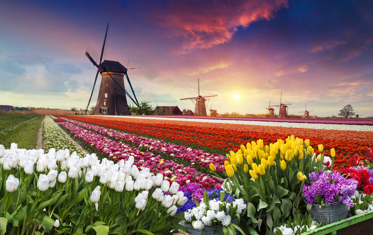 Zaanse Schans in den Niederlanden