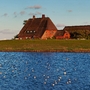 Blick auf die Kirchwarft auf Hallig Hooge