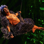 TARZAN -  das Musical