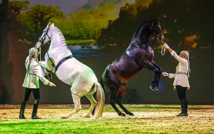 Cavalluna - Tor zur Anderswelt