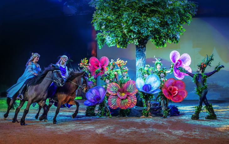 Cavalluna - Tor zur Anderswelt