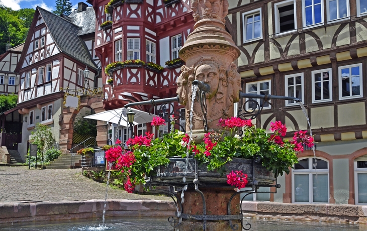 Brunnen am Marktplatz in Miltenberg