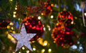 Weihnachtsmarkt Stockseehof
