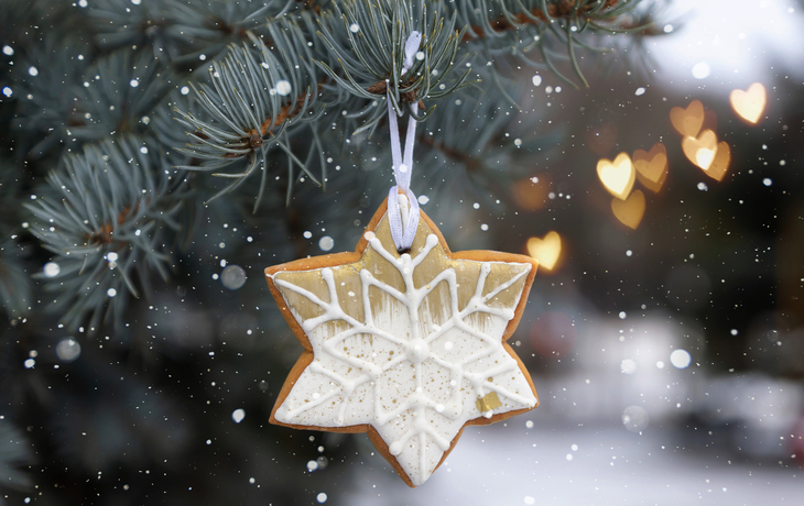 Weihnachtslebkuchen in Form eines Herzens auf einem Fichtenzweig