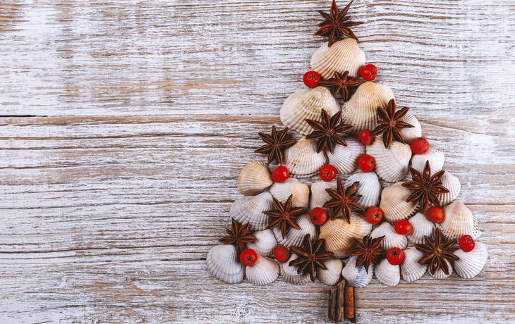 Weihnachtsbaum aus verschiedenen Muschelarten