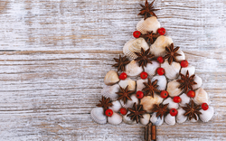 Weihnachtsbaum aus verschiedenen Muschelarten