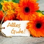 Alles Gute