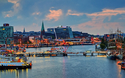 Martinsgans-Essen auf der Kieler Förde