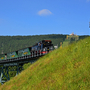 Dampfzug auf dem Viadukt in Oberwiesenthal