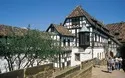 Sommer im Thüringer Wald