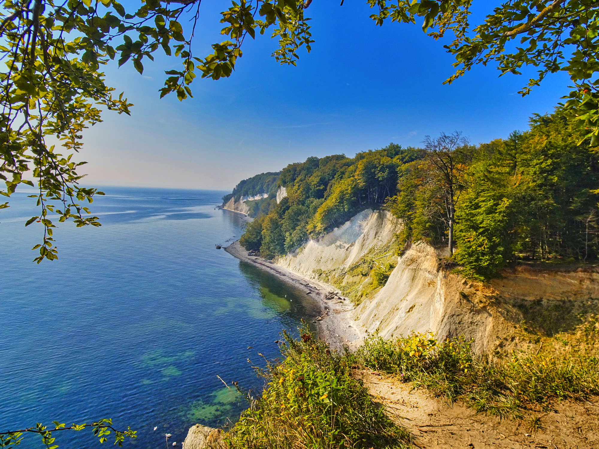 Kreidefelsen auf der Insel Rügen