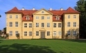 Kraniche an der Müritz