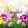 Osterhase