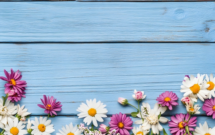 Frühlingsblumen auf blauem Holzhintergrund