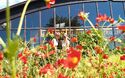 Wiesmoor und der einzige Blumencorso in Niedersachsen