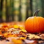 orangefarbener Kürbis, Wald und Herbstblätter