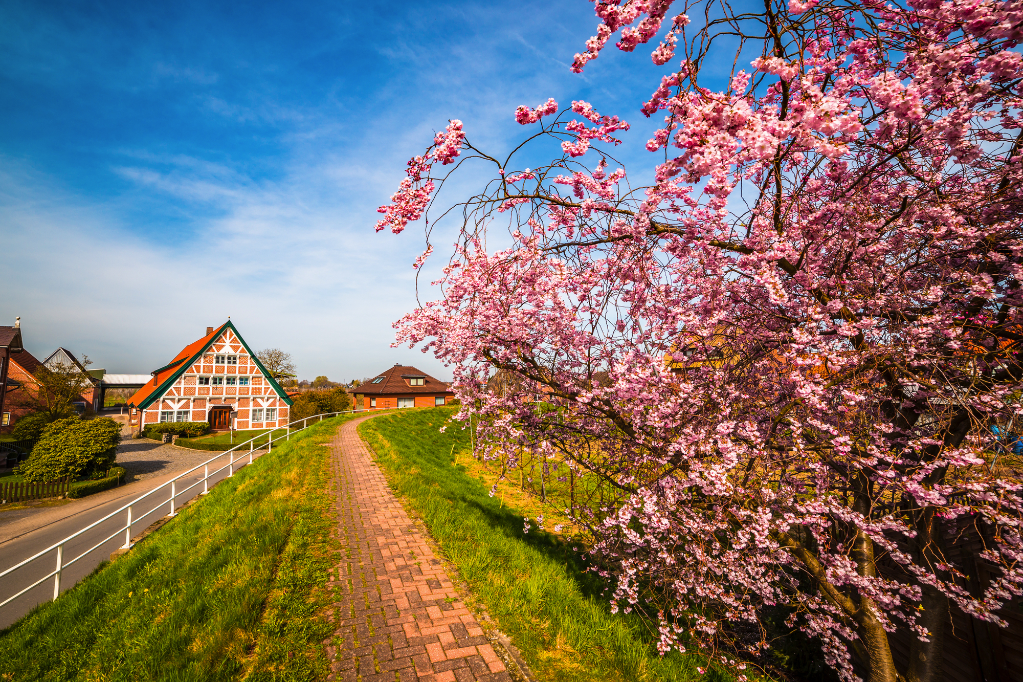Altes Land südlich der Elbe in Hamburg und in Niedersachsen, Deutschland