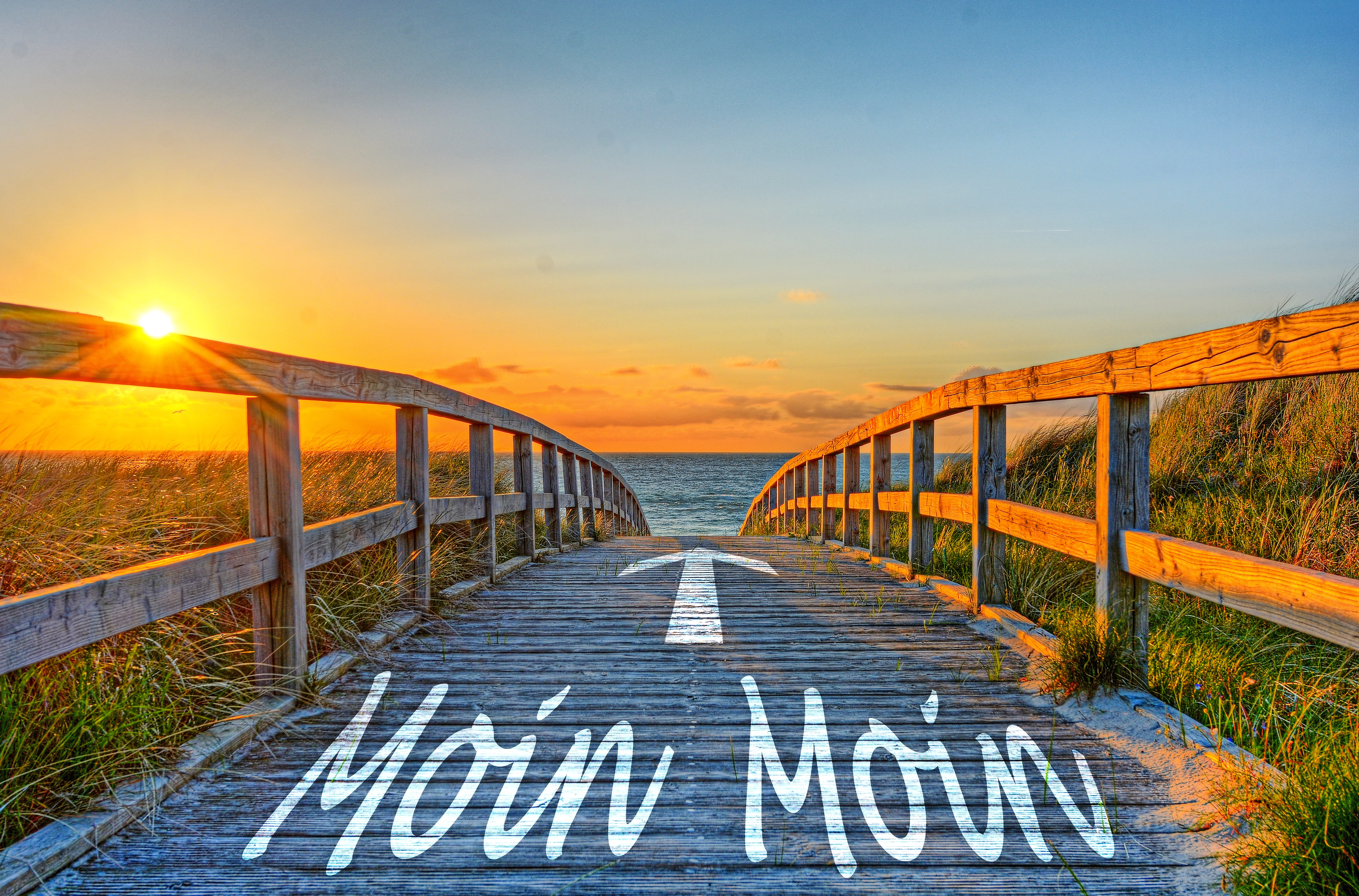 Moin moin