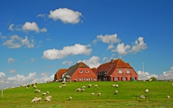 friesisch