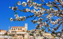 Mallorca