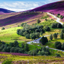 Cairngorms-Nationalpark