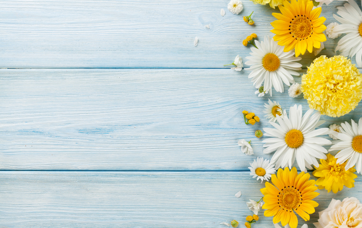 Gartenblumen auf hölzernem Hintergrund