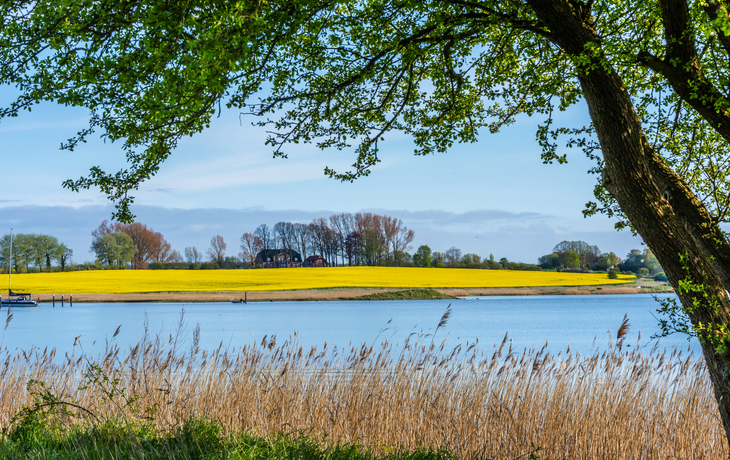 Kopperby an der Schlei